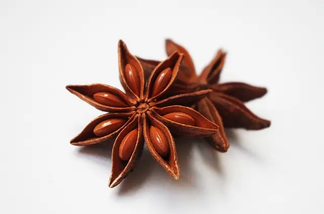 Star Anise